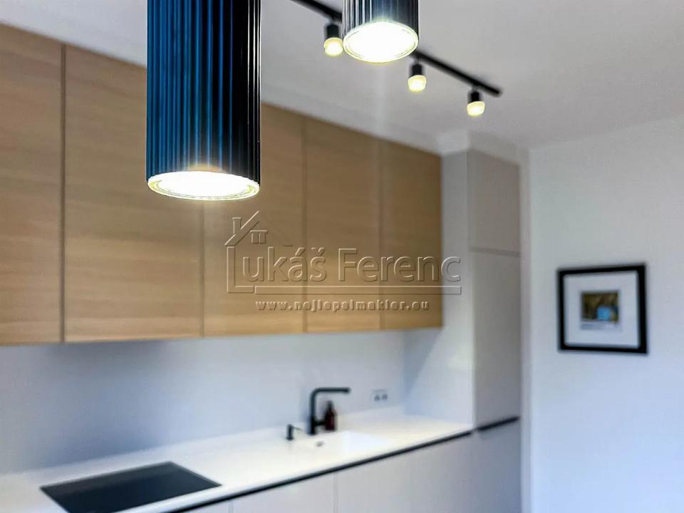 Pronájem bytu 63 m²