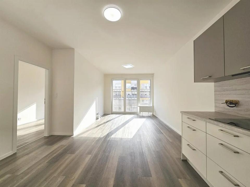 Pronájem bytu 52 m²