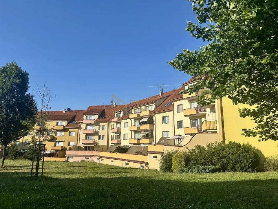 Pronájem bytu 43 m²