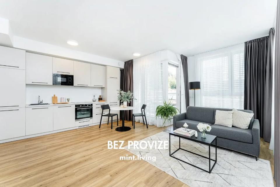 Pronájem bytu 52 m²