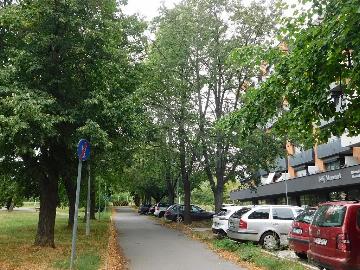 Fotka inzerátu