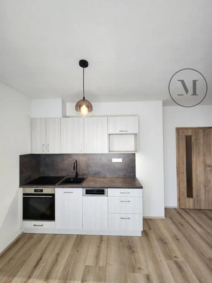 Pronájem bytu 41 m²