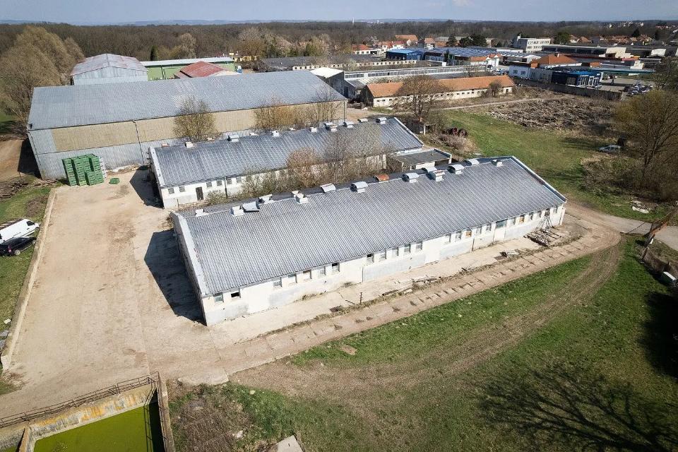foto