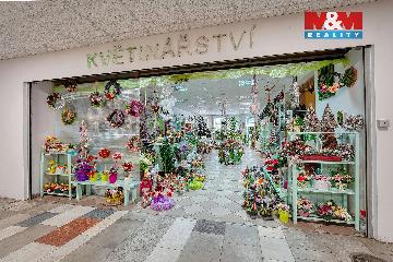 Fotka inzerátu