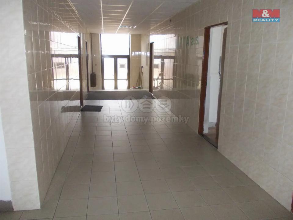 Pronájem komerčního prostoru 250 m²