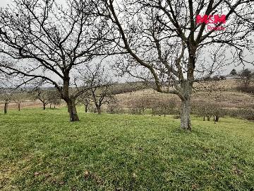 Fotka inzerátu