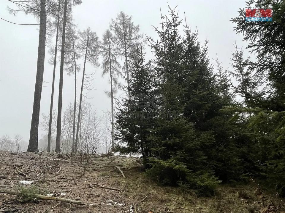 Prodej pozemku