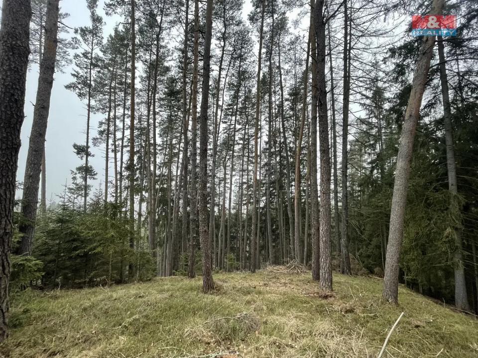Prodej pozemku