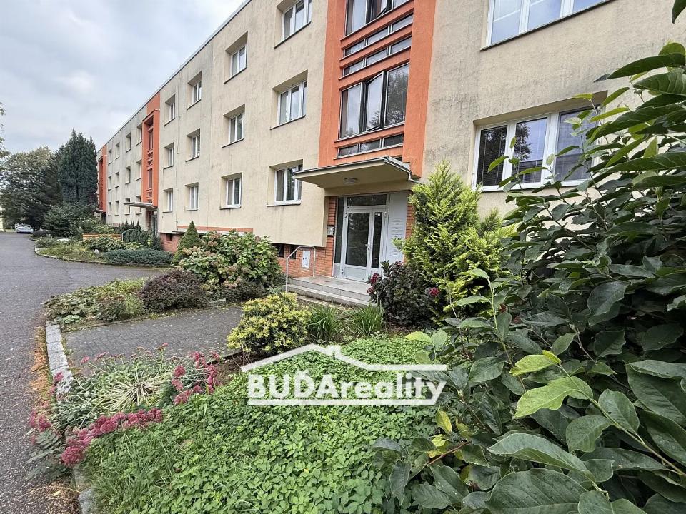 Pronájem bytu 43 m²