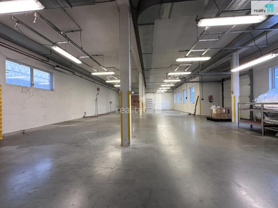 Pronájem komerčního prostoru 173 m²