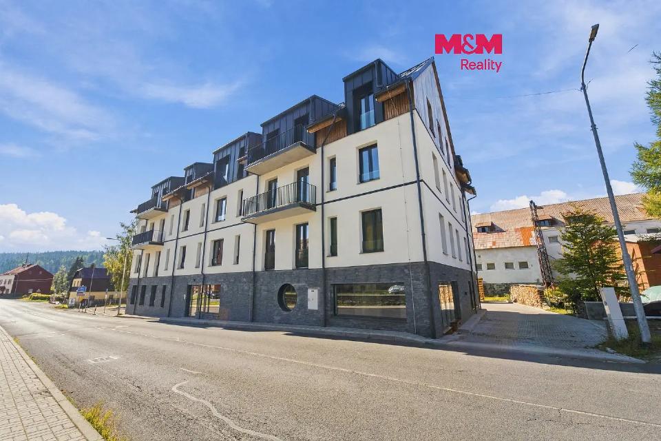 Prodej bytu 46 m²