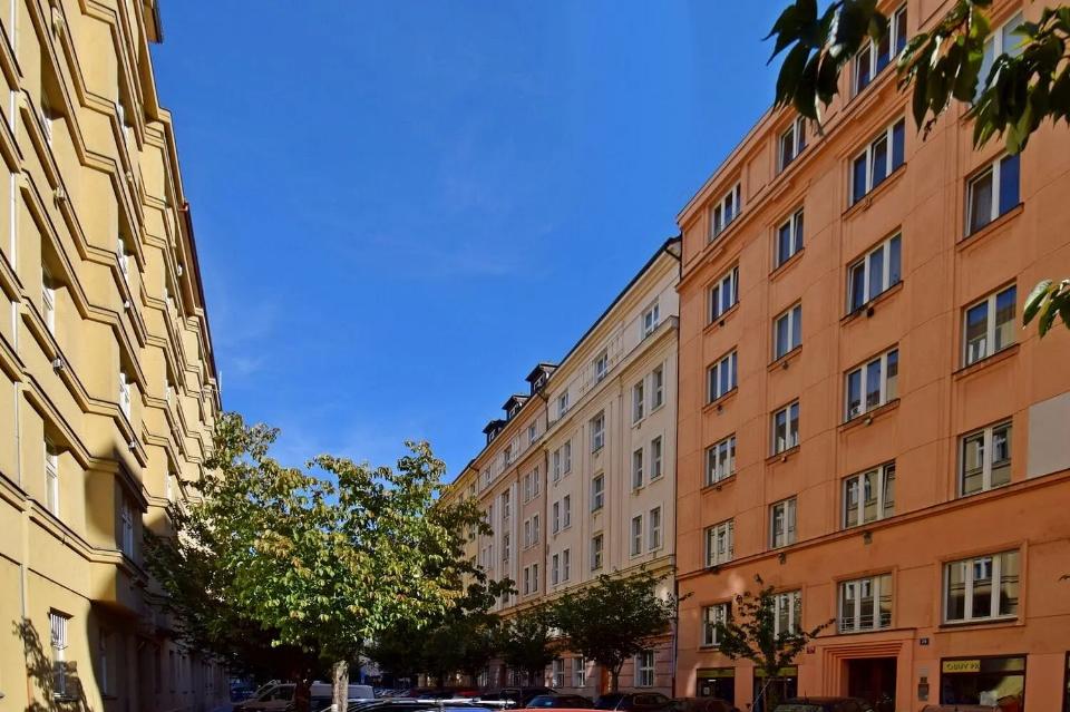 Pronájem bytu 66 m²