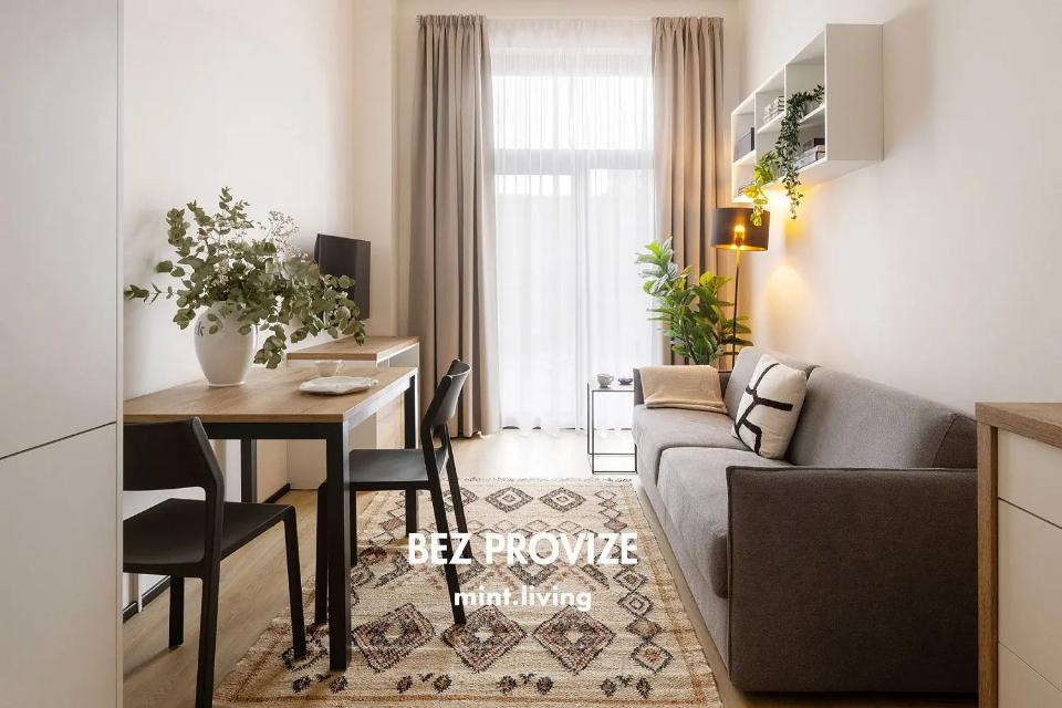 Pronájem bytu 50 m²