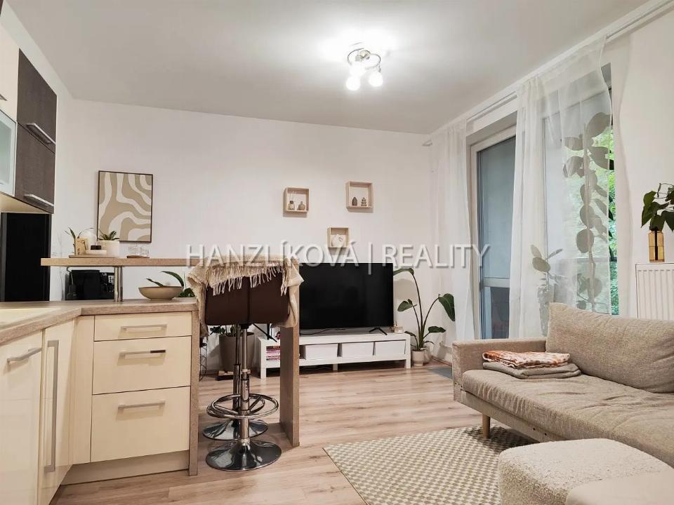 Pronájem bytu 48 m²