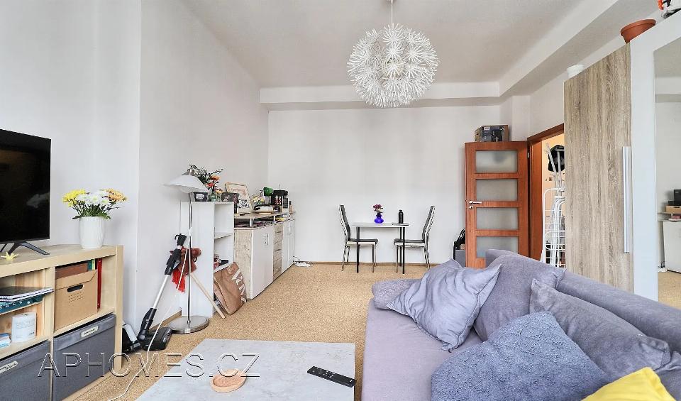 Pronájem bytu 49 m²