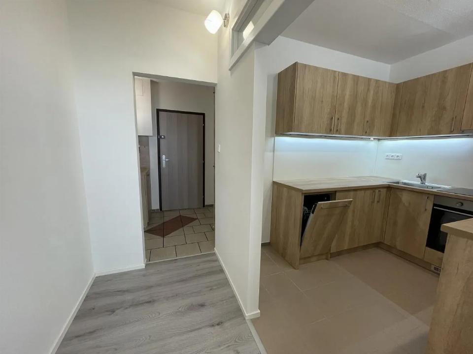 Pronájem bytu 45 m²