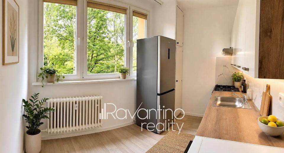 Pronájem bytu 58 m²