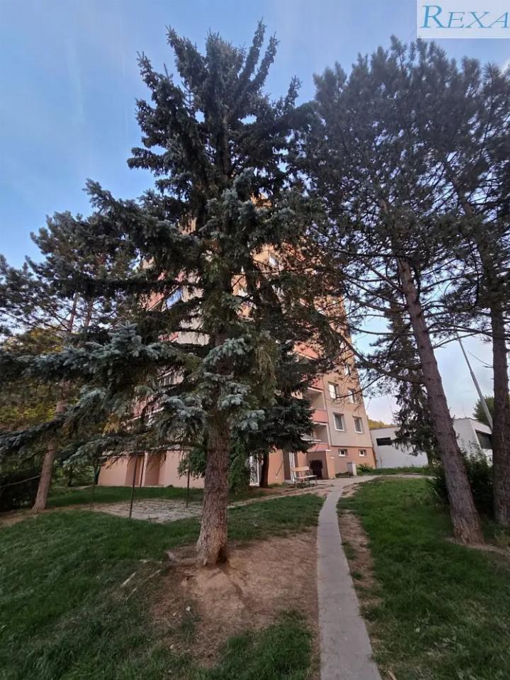 Prodej bytu 30 m²