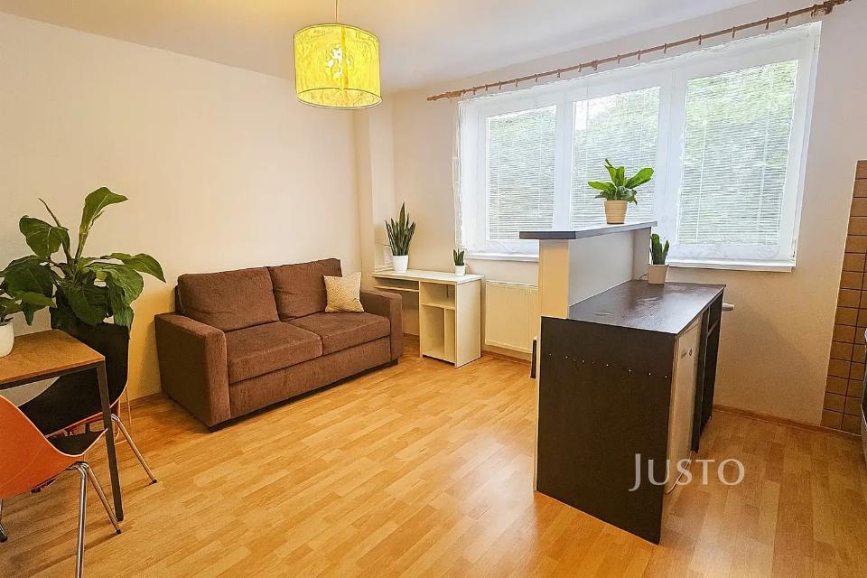 Pronájem bytu 28 m²