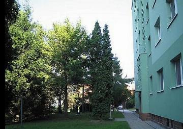 Fotka inzerátu