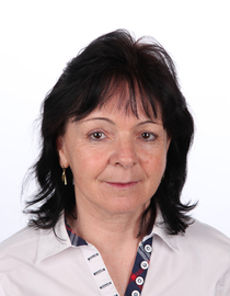 Profilová fotka Dana Židek